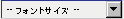 文字サイズ変更